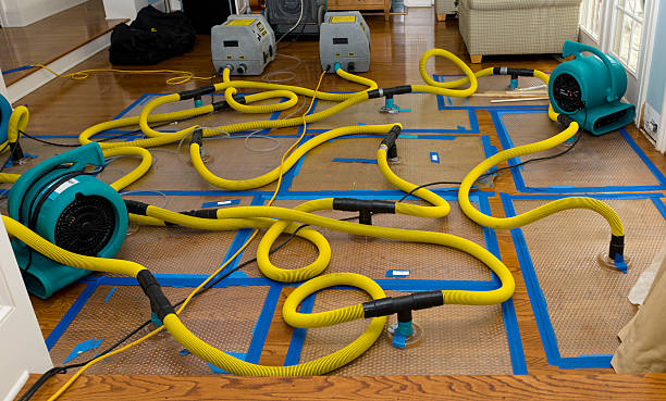 Professional Basement Flood Cleanup technician working in Ceresco, NE